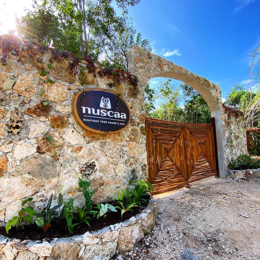 Nuscaa Boutique Tree House & Spa Hotel Puerto Morelos Bagian luar foto