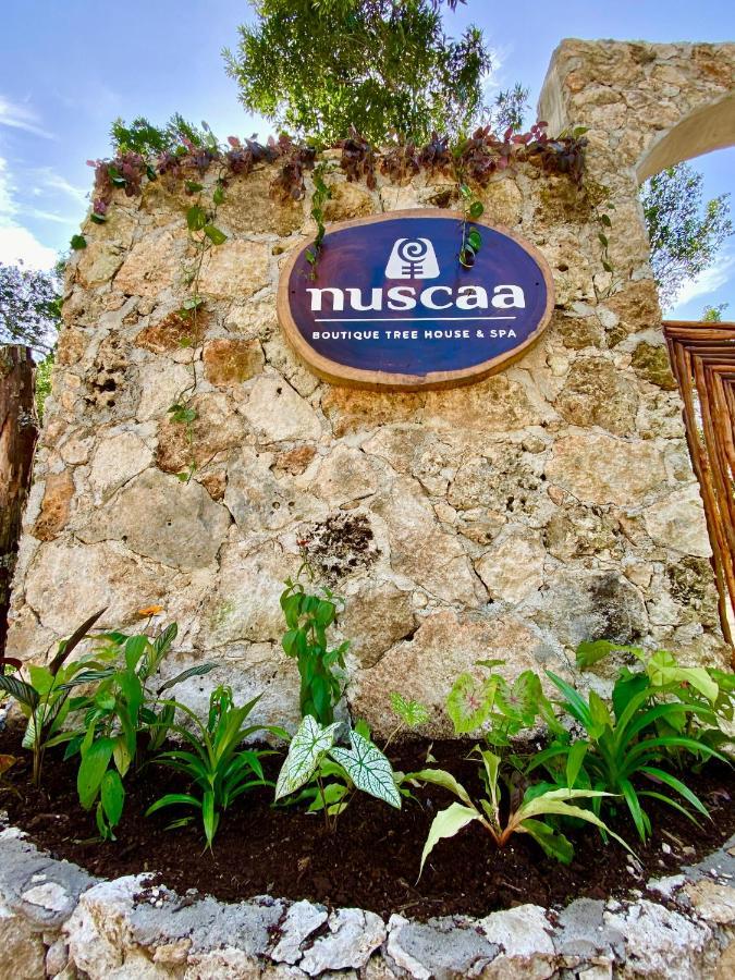 Nuscaa Boutique Tree House & Spa Hotel Puerto Morelos Bagian luar foto