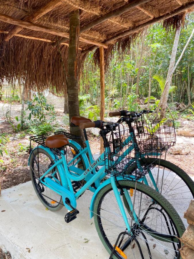 Nuscaa Boutique Tree House & Spa Hotel Puerto Morelos Bagian luar foto