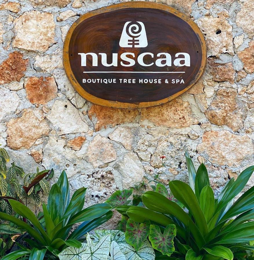 Nuscaa Boutique Tree House & Spa Hotel Puerto Morelos Bagian luar foto
